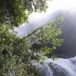 IMG-20190915-WA0006