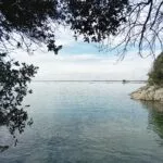 Il bosco del Principe e il mare d’Inverno escursione-vicino-trieste-sentiero-duino-vista-mare-cernizza