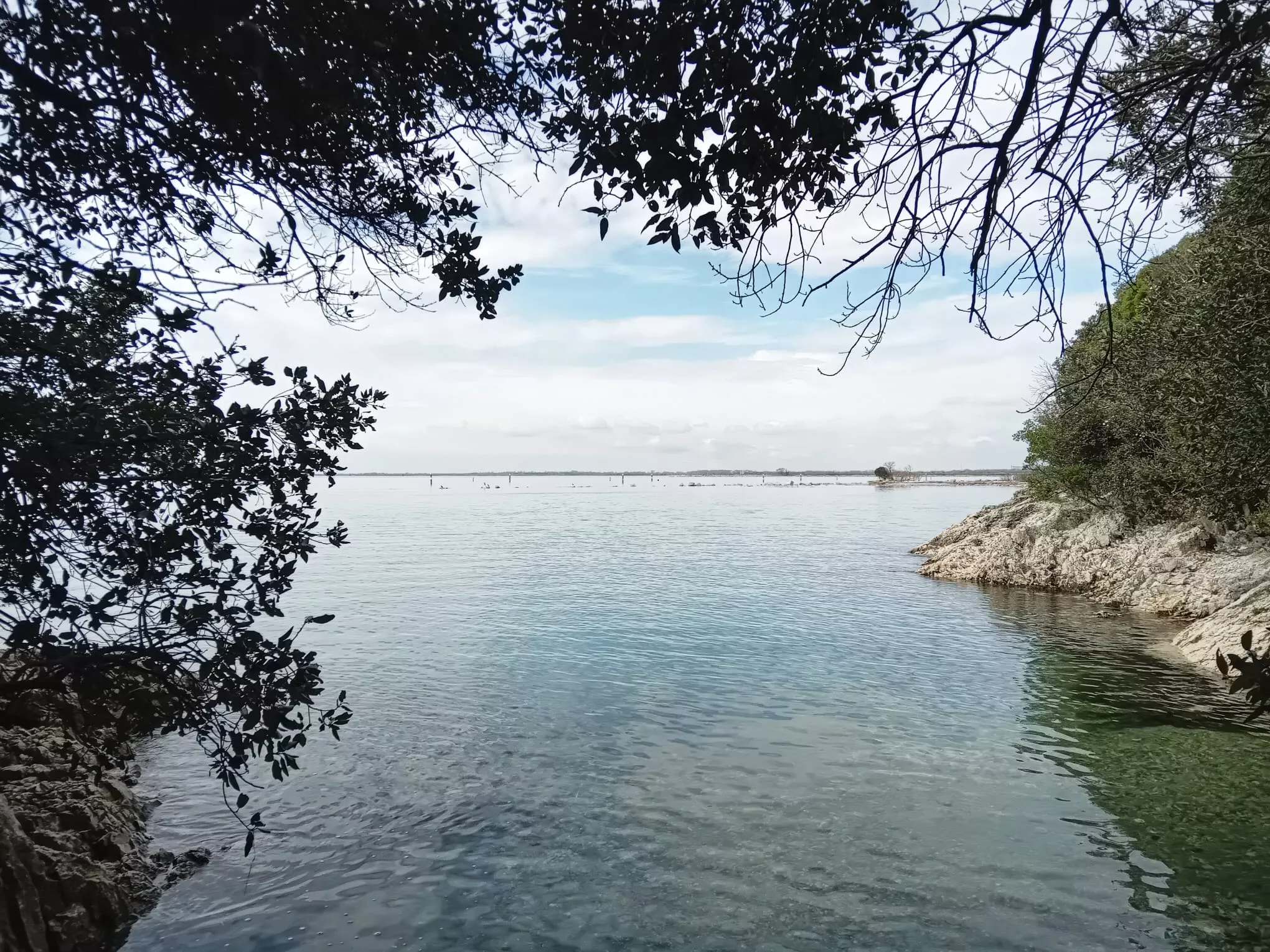 escursione vicino trieste sentiero duino vista mare cernizza 6983654a9bbe8