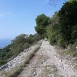 passeggiata-sentiero-della-salvia-mare-carso-trieste