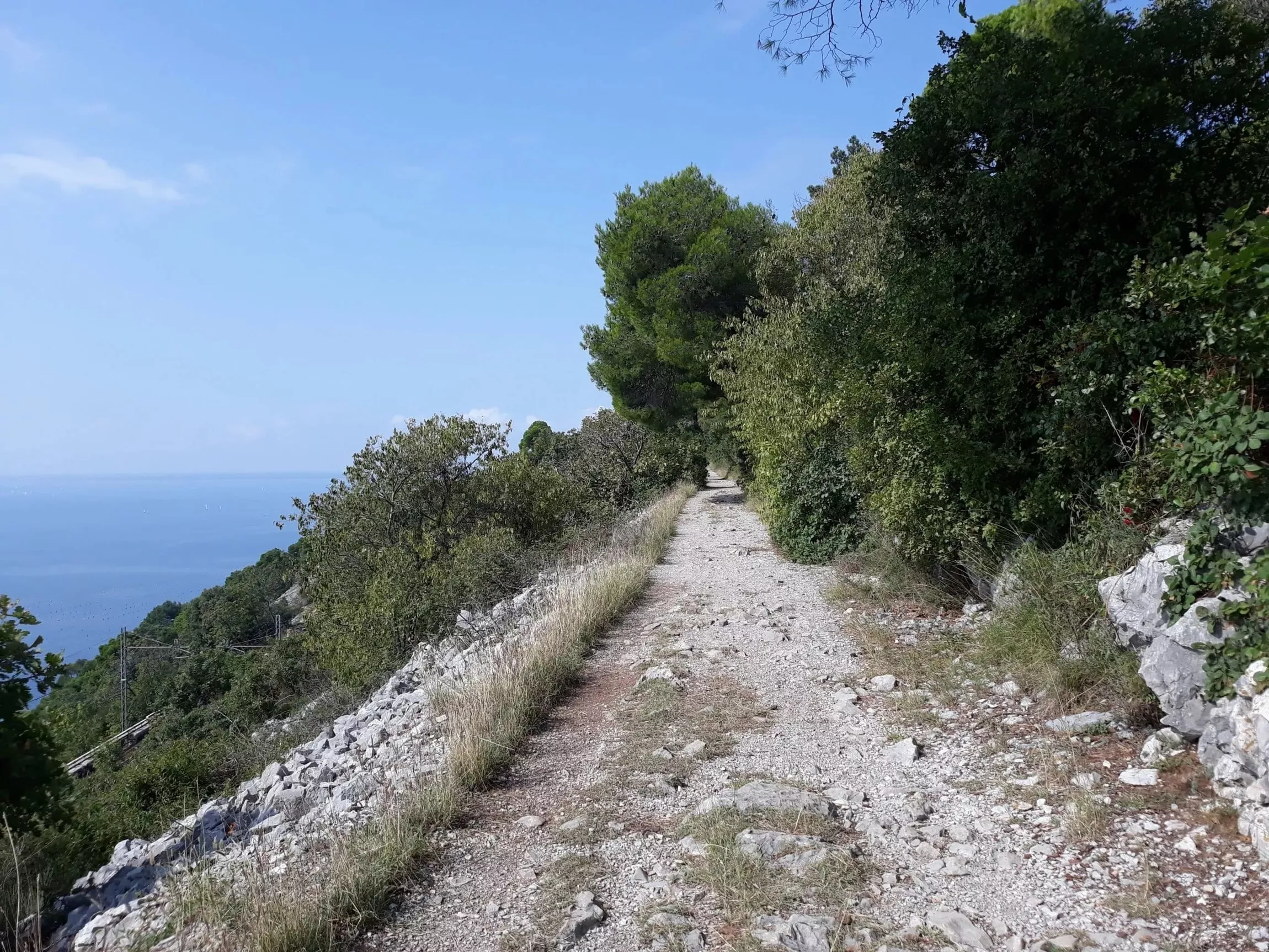 passeggiata sentiero della salvia mare carso trieste 6983688a30907
